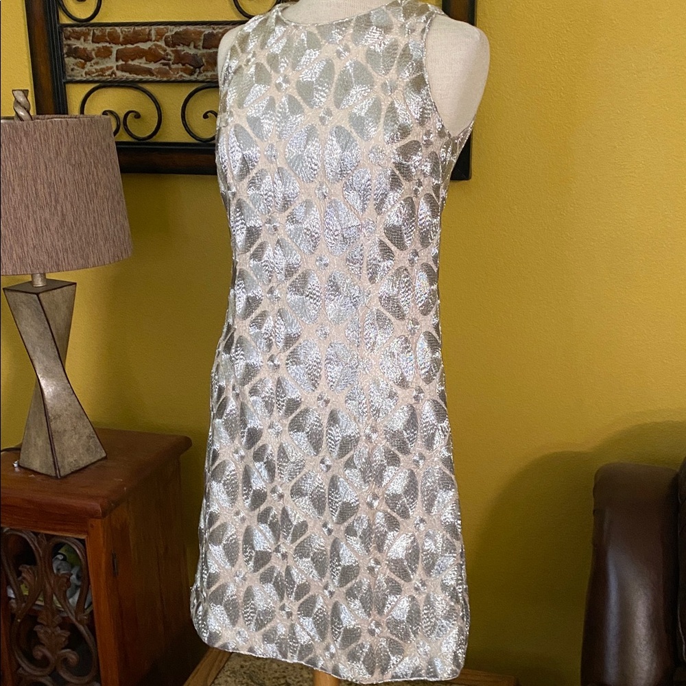 Craig Signer Elegant Vintage Silver Dress